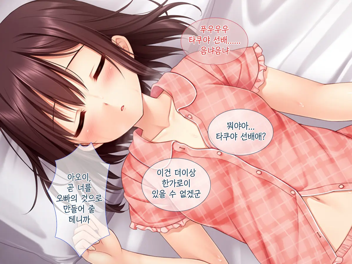 Imouto Ga Suki Sugiru Aniki Ga Kareshi Kara Netoru | 여동생을 엄청 좋아한 오빠가 남자친구에게서 여동생 빼앗기